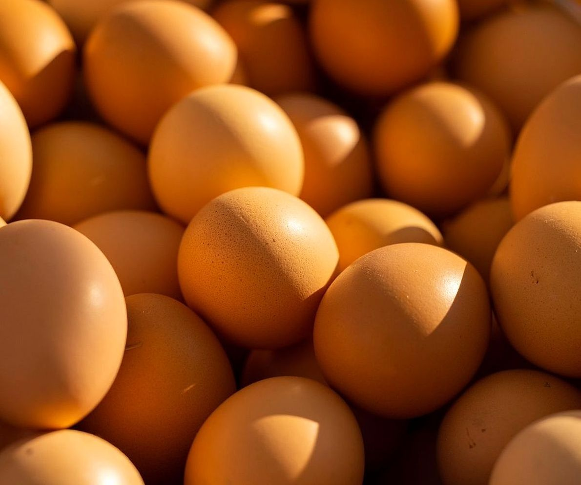 Mãos colhendo Produtos naturais direto da horta